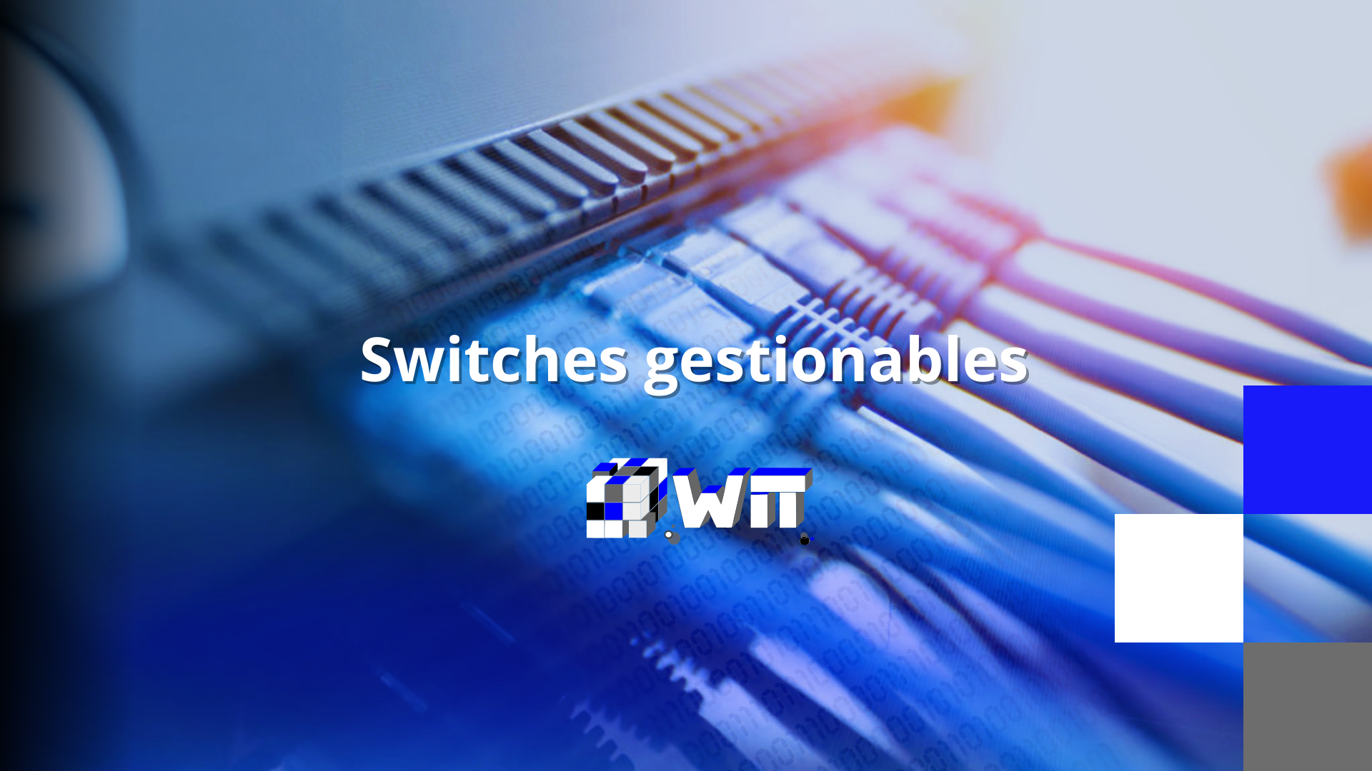 todo sobre los Switches gestionables